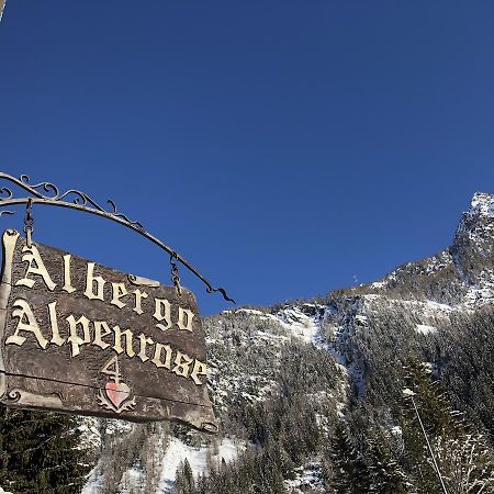 Albergo Alpenrose Ski&Bike Mountain Hotel Gressoney-Saint-Jean Buitenkant foto
