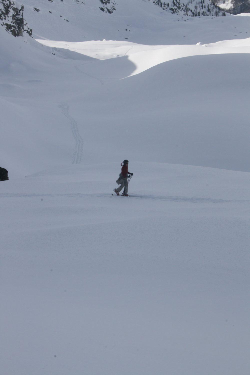Albergo Alpenrose Ski&Bike Mountain Hotel Gressoney-Saint-Jean Buitenkant foto