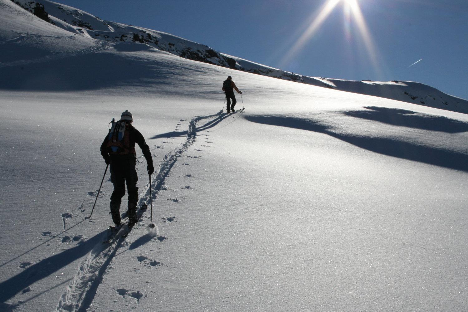 Albergo Alpenrose Ski&Bike Mountain Hotel Gressoney-Saint-Jean Buitenkant foto