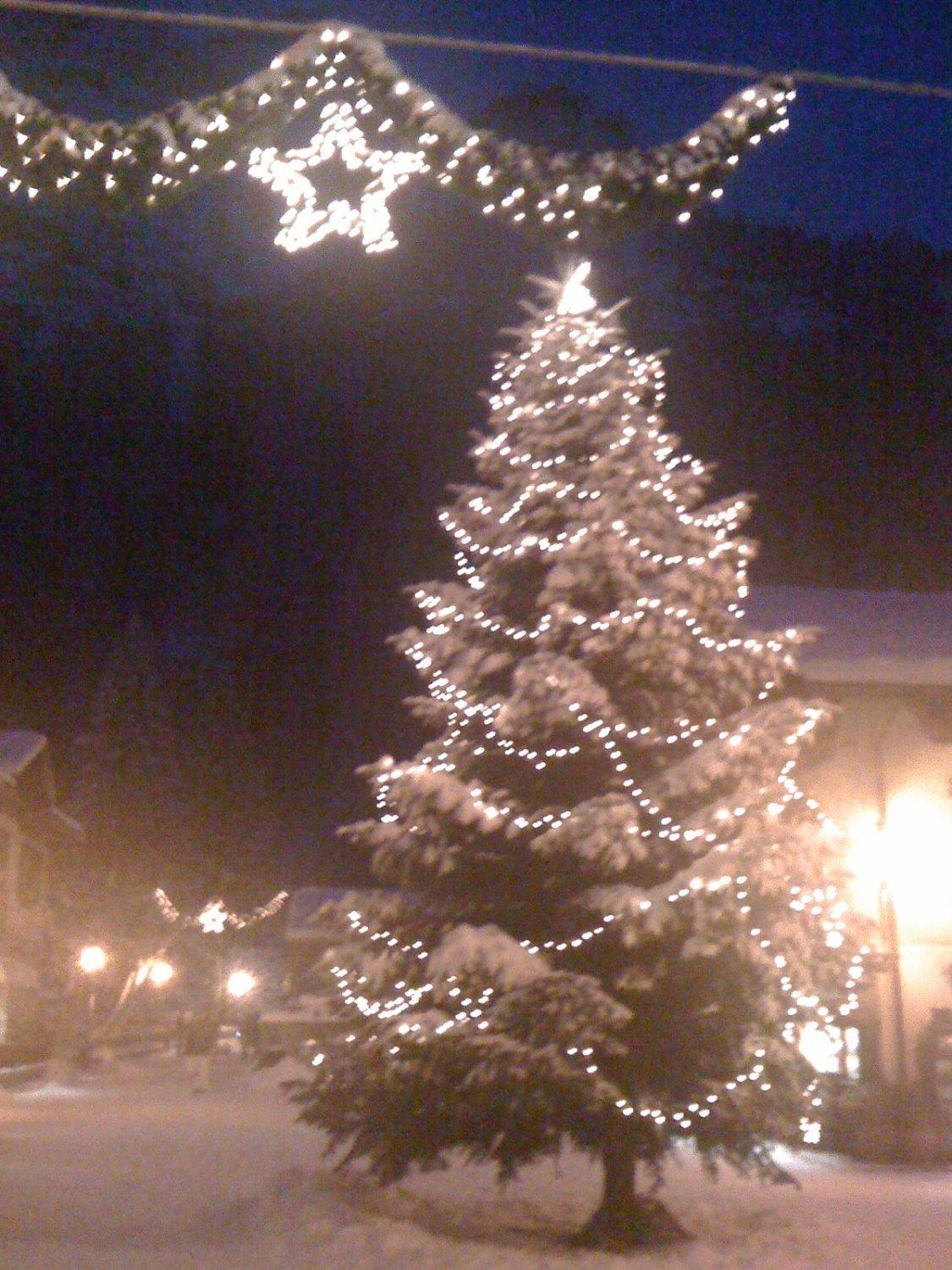Albergo Alpenrose Ski&Bike Mountain Hotel Gressoney-Saint-Jean Buitenkant foto