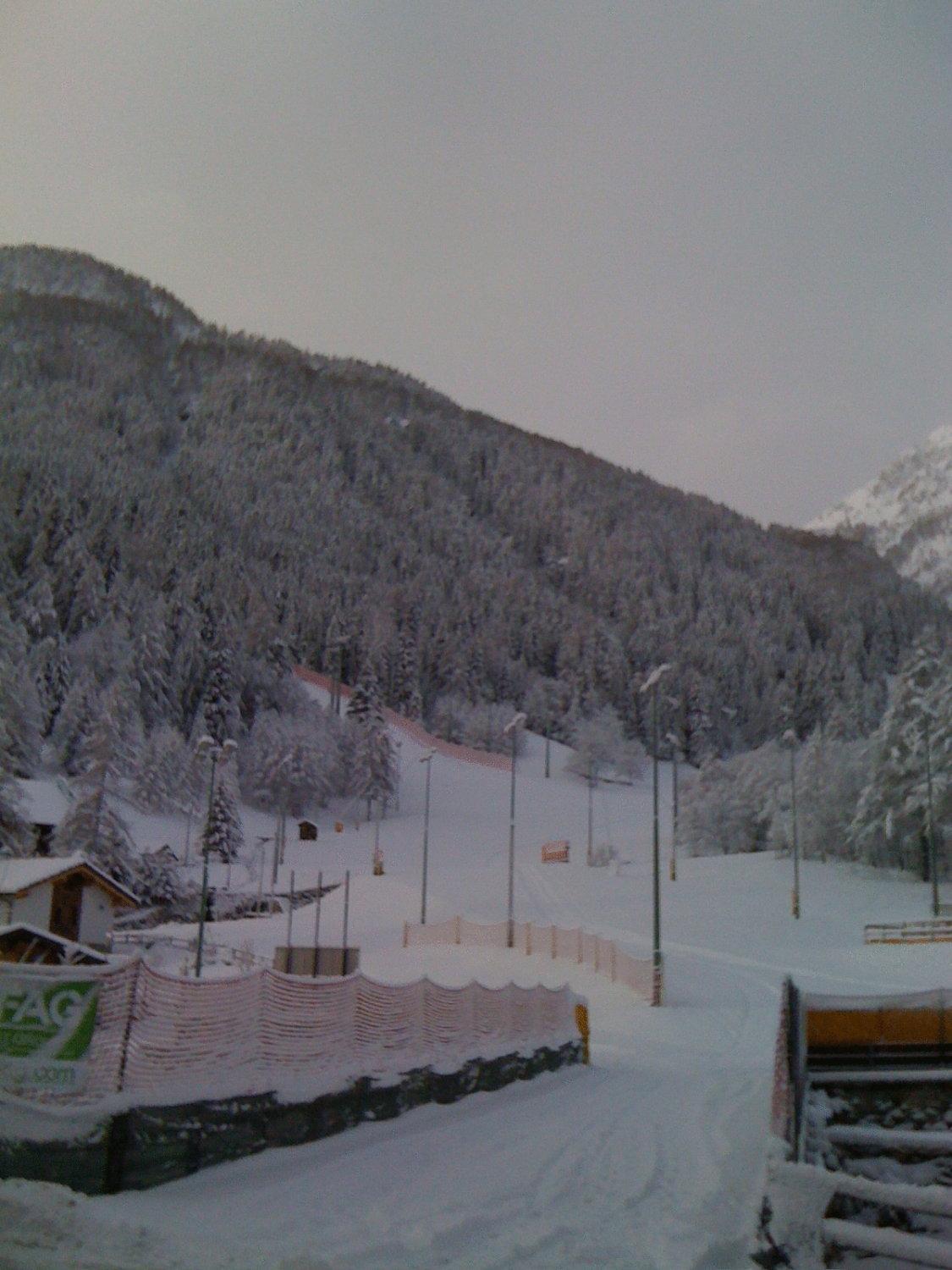 Albergo Alpenrose Ski&Bike Mountain Hotel Gressoney-Saint-Jean Buitenkant foto