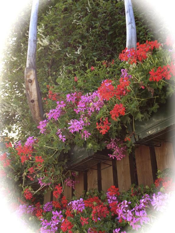 Albergo Alpenrose Ski&Bike Mountain Hotel Gressoney-Saint-Jean Buitenkant foto