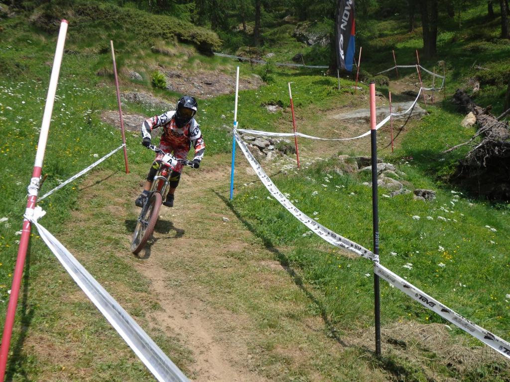 Albergo Alpenrose Ski&Bike Mountain Hotel Gressoney-Saint-Jean Buitenkant foto