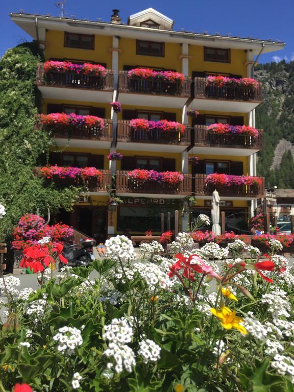 Albergo Alpenrose Ski&Bike Mountain Hotel Gressoney-Saint-Jean Buitenkant foto