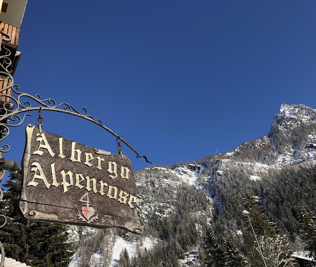 Albergo Alpenrose Ski&Bike Mountain Hotel Gressoney-Saint-Jean Buitenkant foto