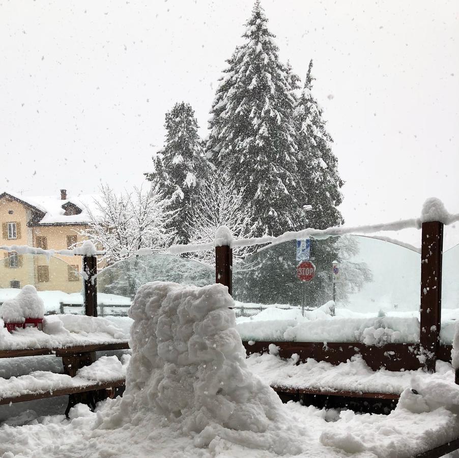 Albergo Alpenrose Ski&Bike Mountain Hotel Gressoney-Saint-Jean Buitenkant foto