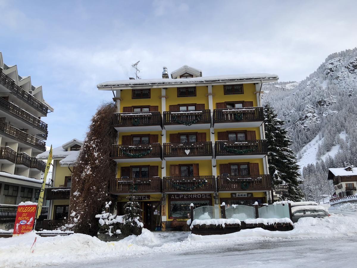 Albergo Alpenrose Ski&Bike Mountain Hotel Gressoney-Saint-Jean Buitenkant foto