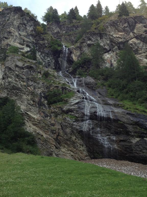 Albergo Alpenrose Ski&Bike Mountain Hotel Gressoney-Saint-Jean Buitenkant foto