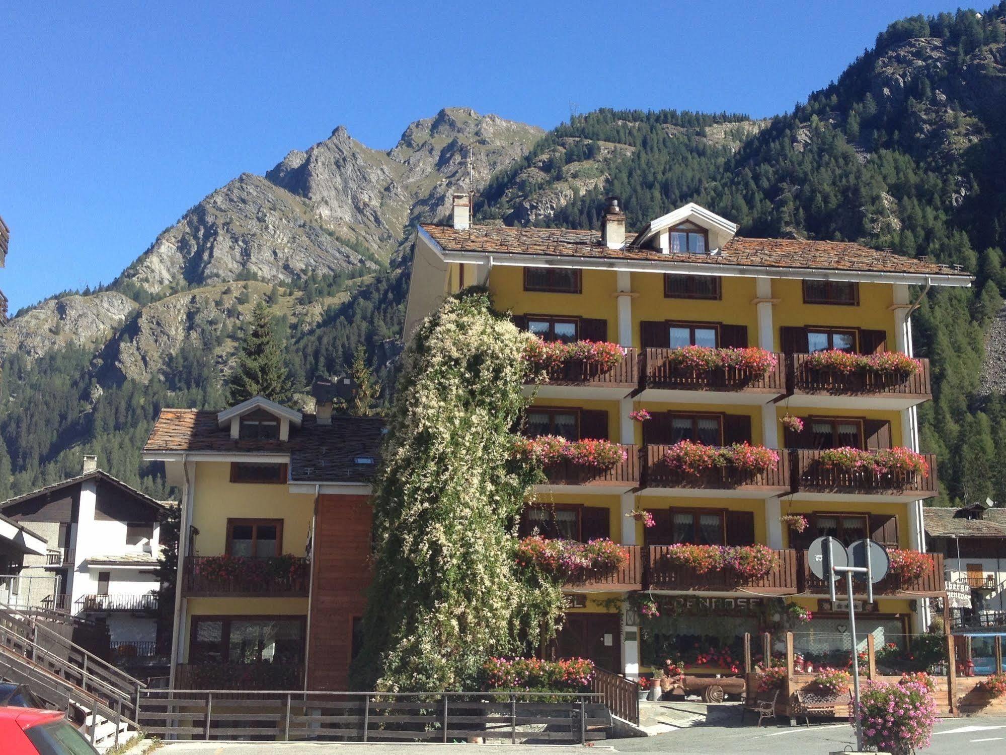 Albergo Alpenrose Ski&Bike Mountain Hotel Gressoney-Saint-Jean Buitenkant foto