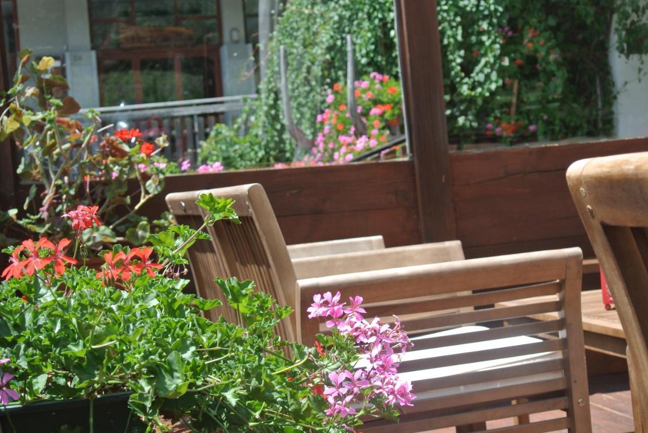 Albergo Alpenrose Ski&Bike Mountain Hotel Gressoney-Saint-Jean Buitenkant foto