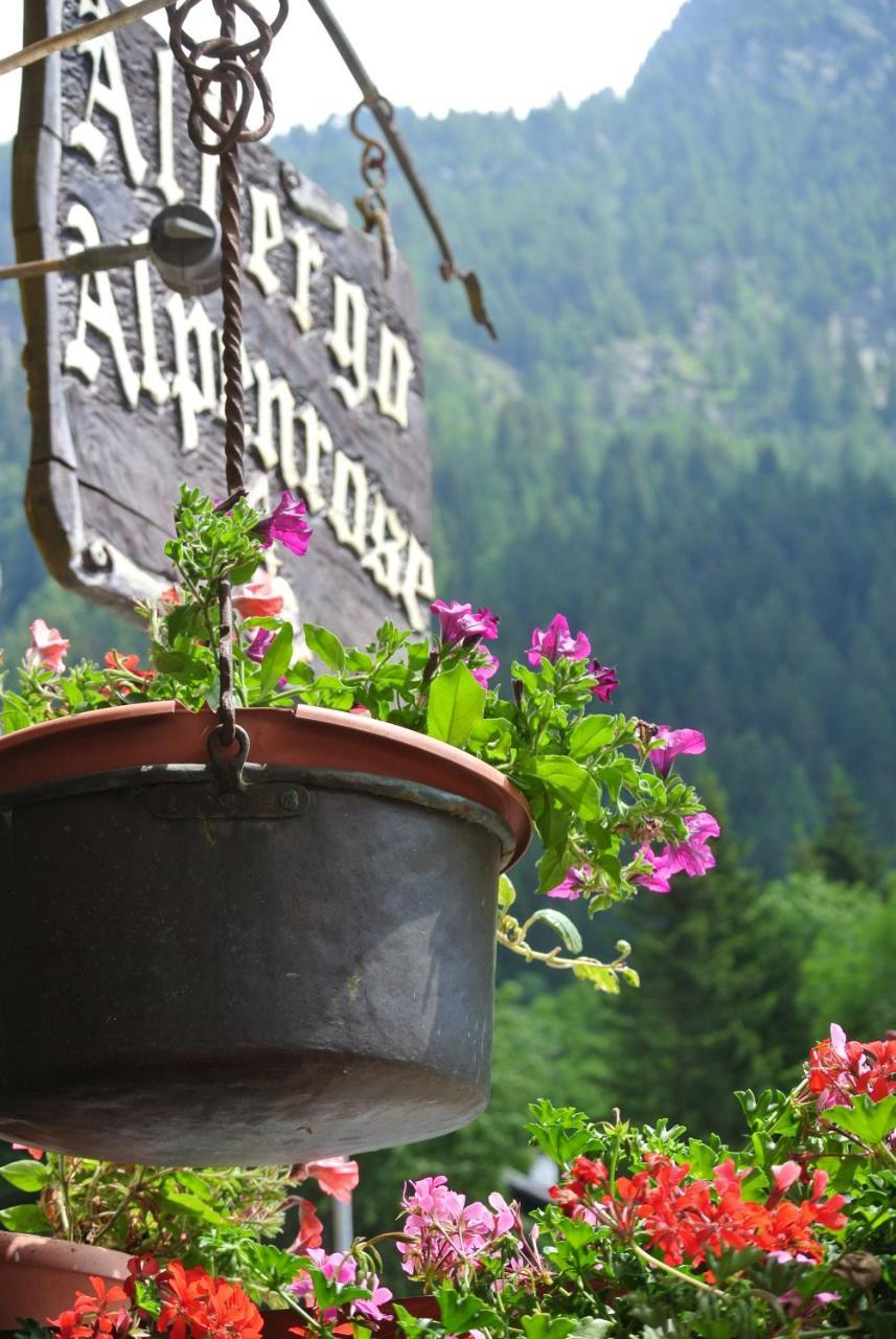 Albergo Alpenrose Ski&Bike Mountain Hotel Gressoney-Saint-Jean Buitenkant foto