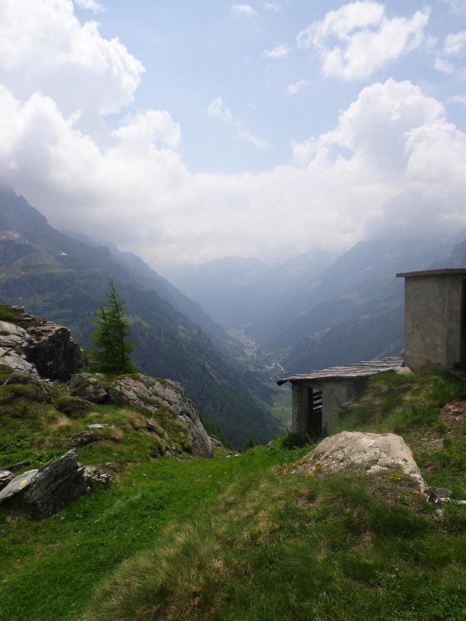 Albergo Alpenrose Ski&Bike Mountain Hotel Gressoney-Saint-Jean Buitenkant foto